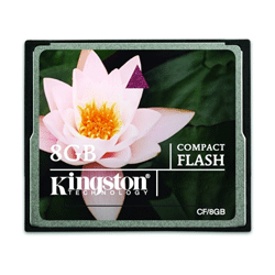   8 Kingston CompactFlash Card, CF-8GB